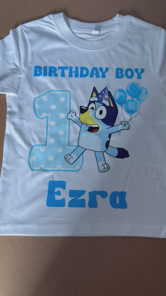 Bluey inspired birthday boy/ birthday girl tshirt sizes from 12-18m 12-13years