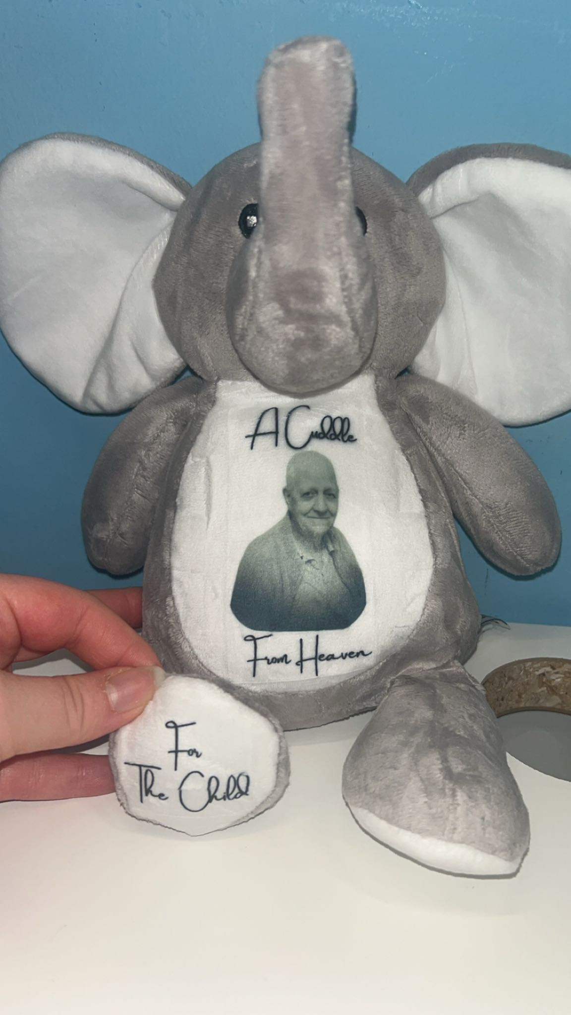 A HUG FROM HEAVEN- Memorial - Sympathy Gift - Picture Teddy Any Picture And Text