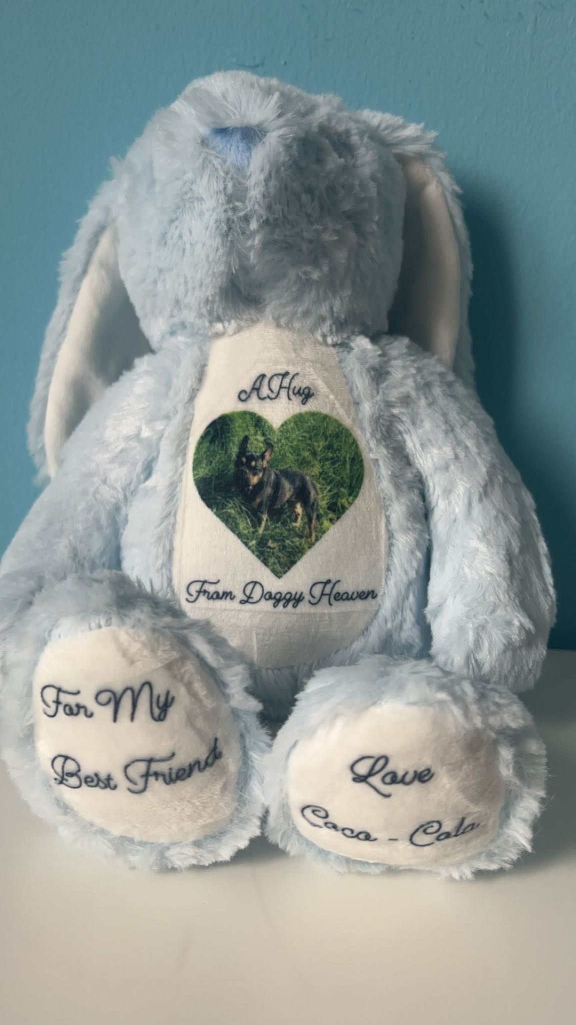 A HUG FROM HEAVEN- Memorial - Sympathy Gift - Picture Teddy Any Picture And Text