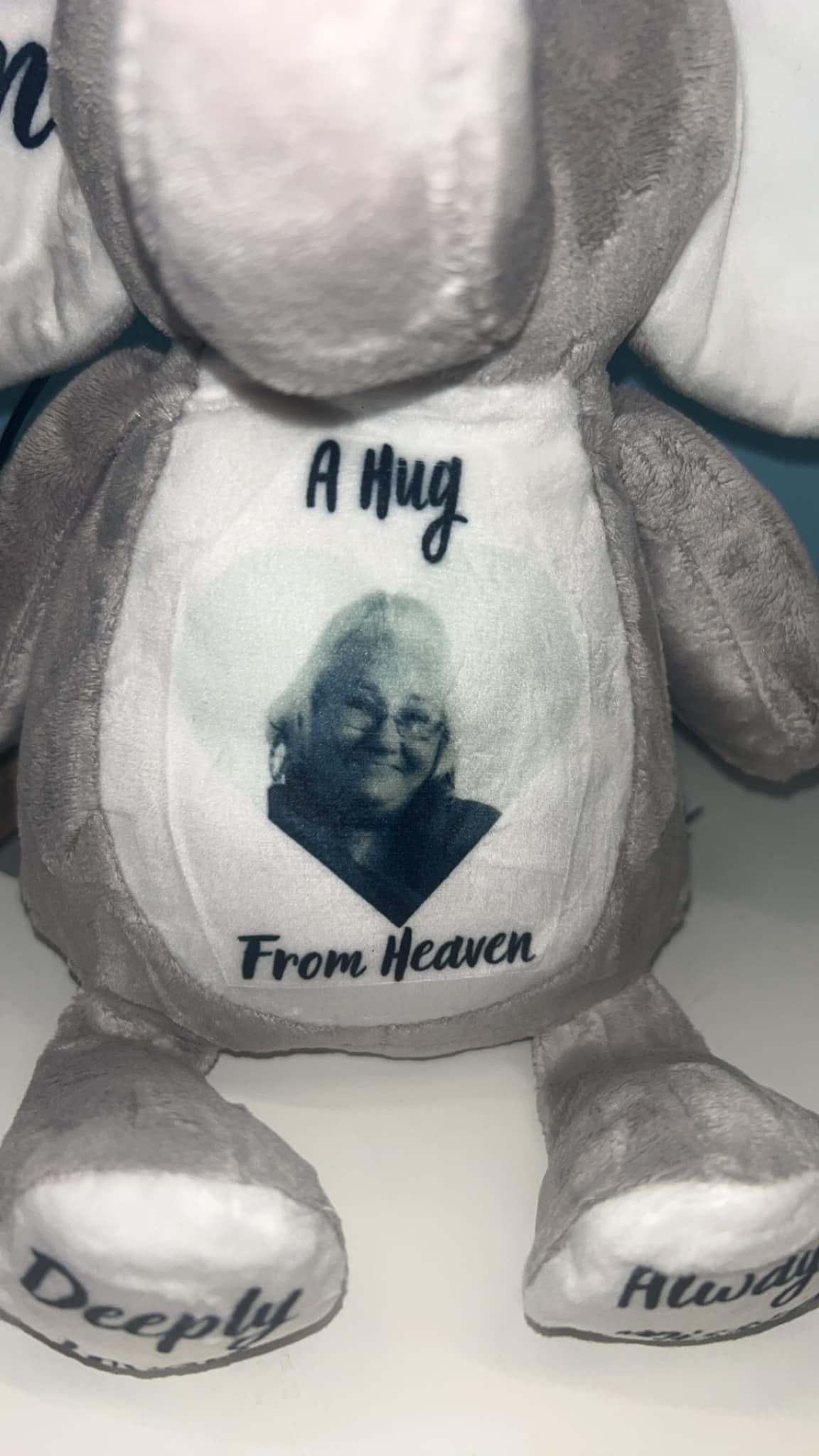 A HUG FROM HEAVEN- Memorial - Sympathy Gift - Picture Teddy Any Picture And Text